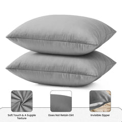 Velvet Cushion Covers Silver (Crown 3)